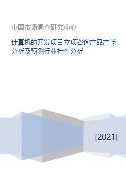 計算機軟件開發項目立項咨詢 產能分析與行業特性洞察